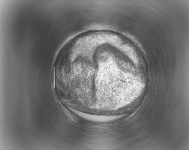 X0000069791175200606091735