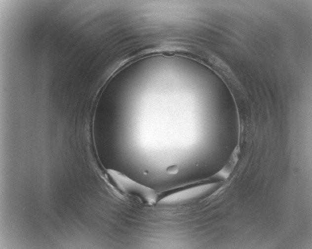 X0000069791177200606091735