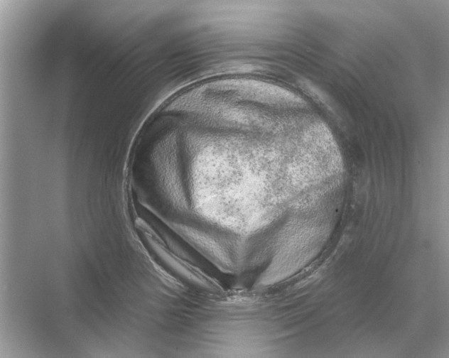 X0000069791178200606091735