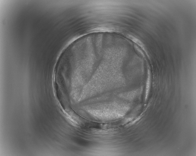 X0000069791179200606091735