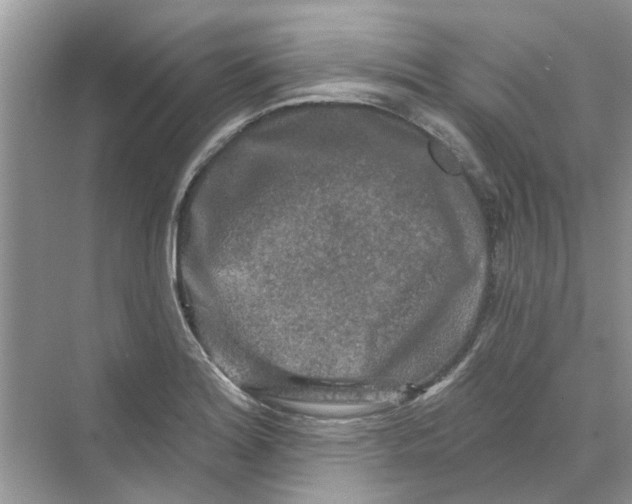 X0000069791180200606091735