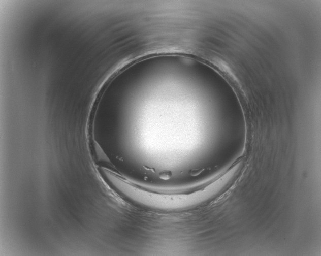 X0000069791181200606091735