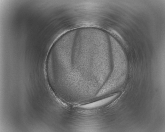 X0000069791182200606091735