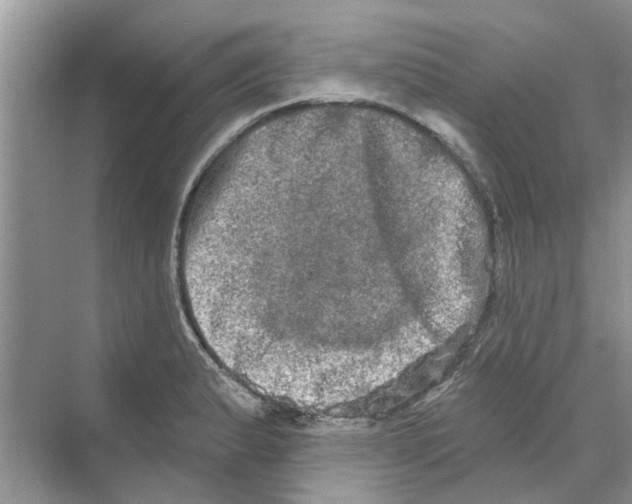 X0000069791183200606091735