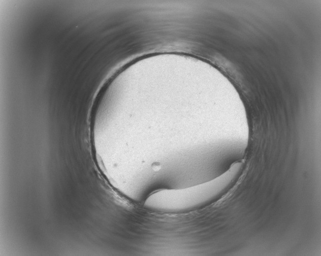 X0000069791184200606091735