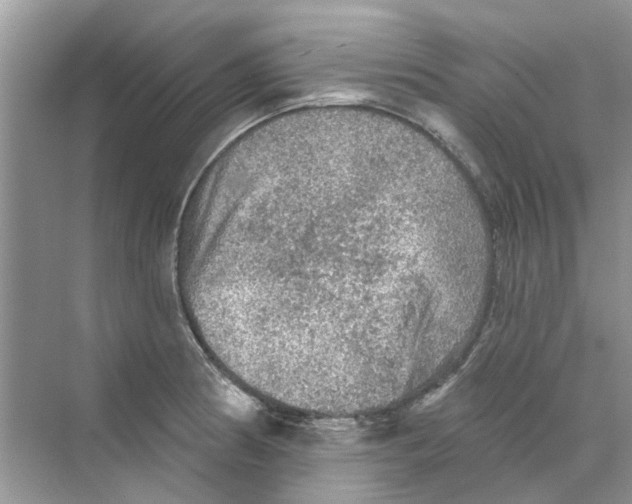 X0000069791186200606091735