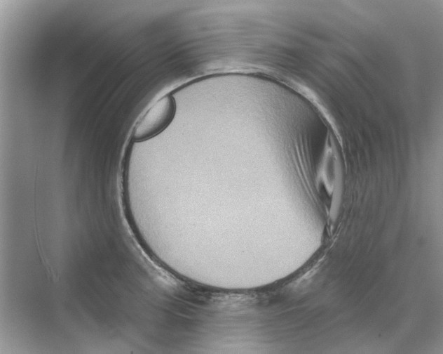 X0000069791187200606091735