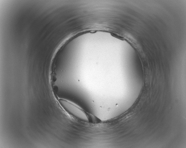 X0000069791188200606091735