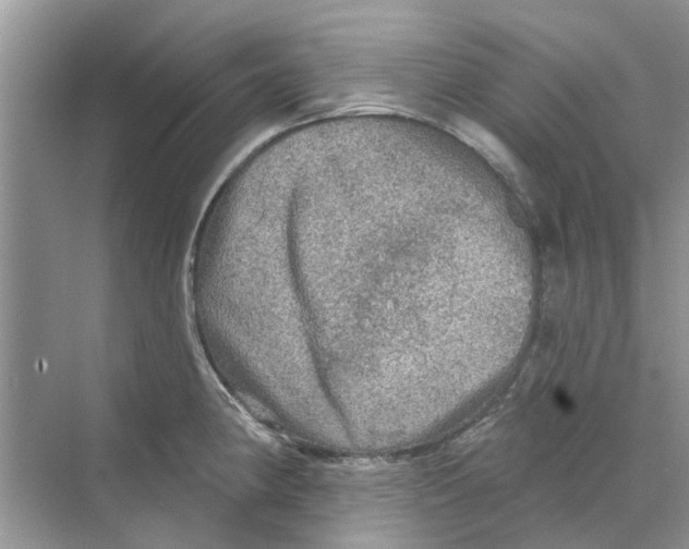 X0000069791190200606091735