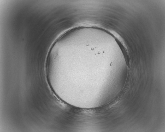 X0000069791191200606091735