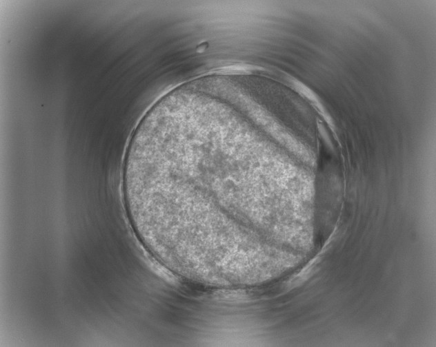 X0000069791194200606091735