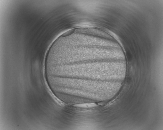 X0000069791195200606091735