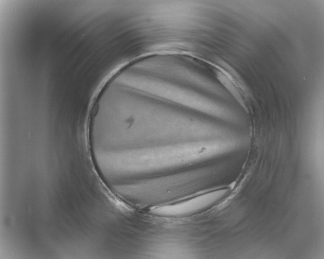 X0000069791196200606091735