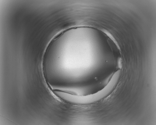 X0000069791197200606091735