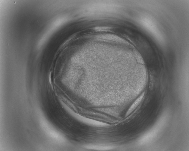 X0000069791198200606091735