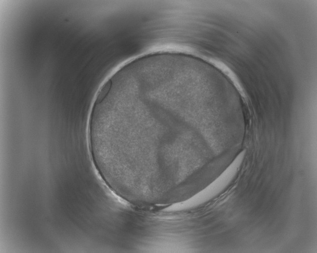 X0000069791199200606091735