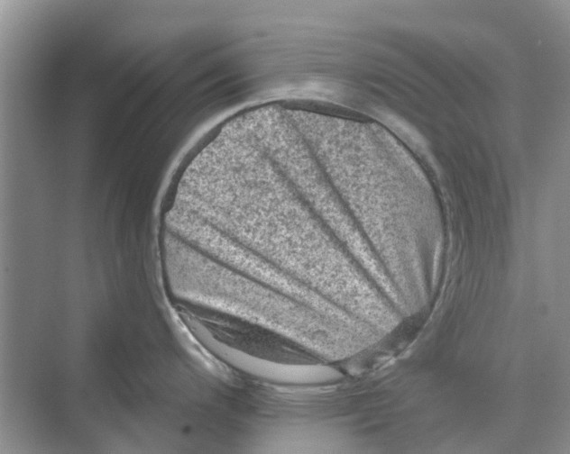 X0000069791200200606091735