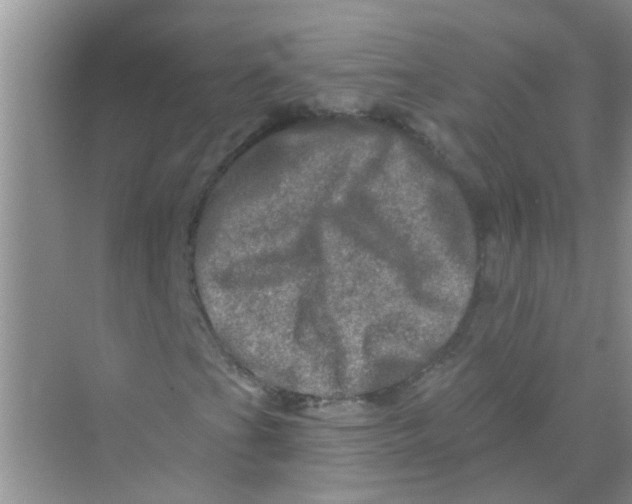 X0000069791201200606091734