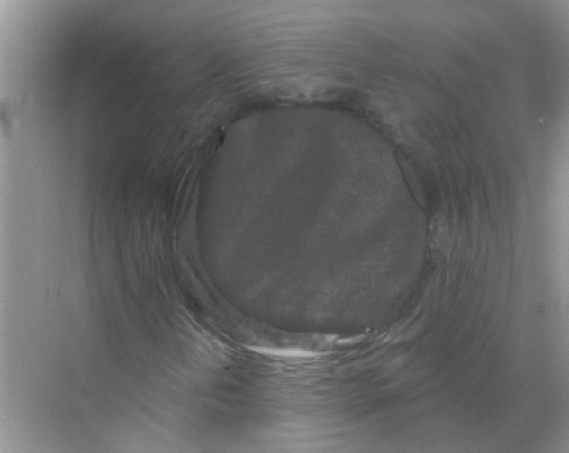 X0000069791202200606091734