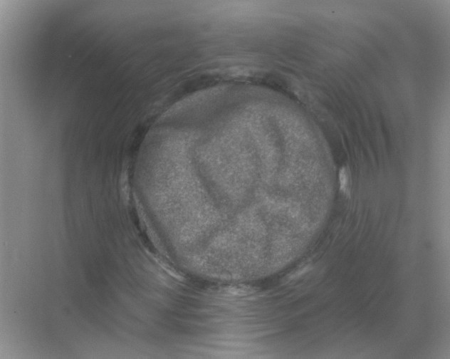 X0000069791203200606091734