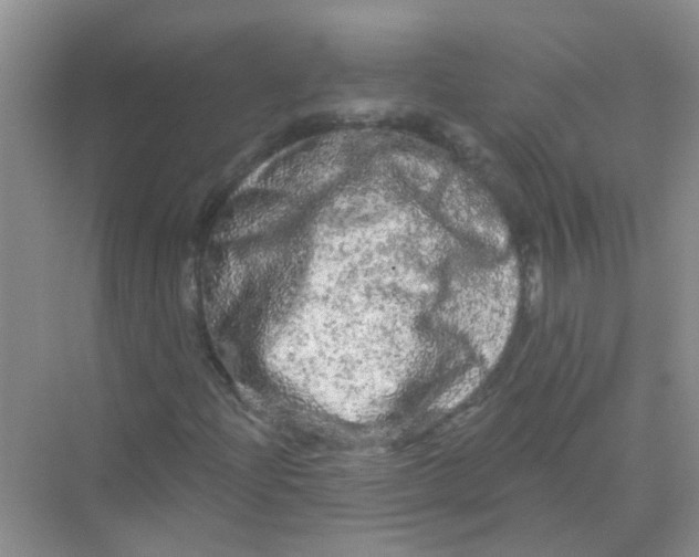 X0000069791204200606091734