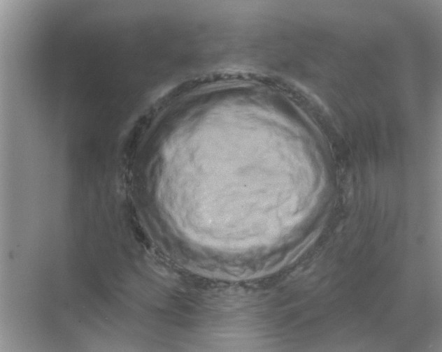 X0000069791207200606091734