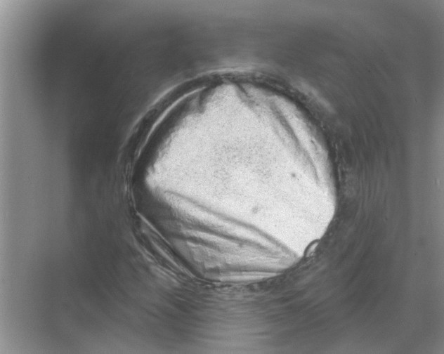 X0000069791208200606091734