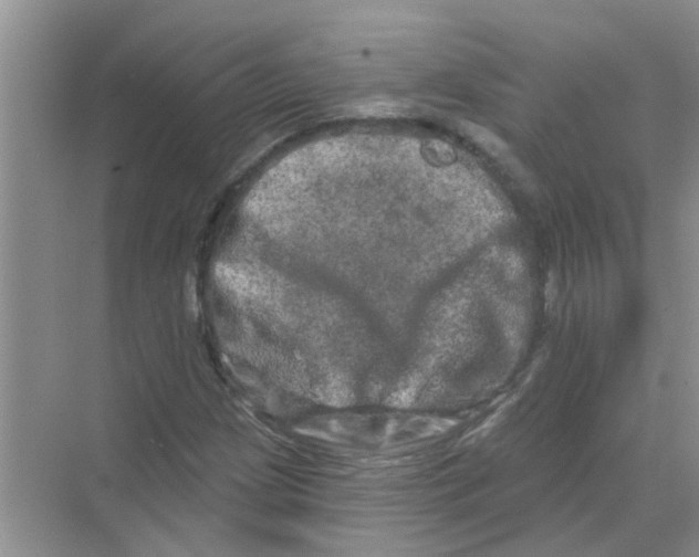 X0000069791209200606091734