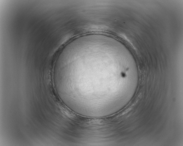 X0000069791211200606091734