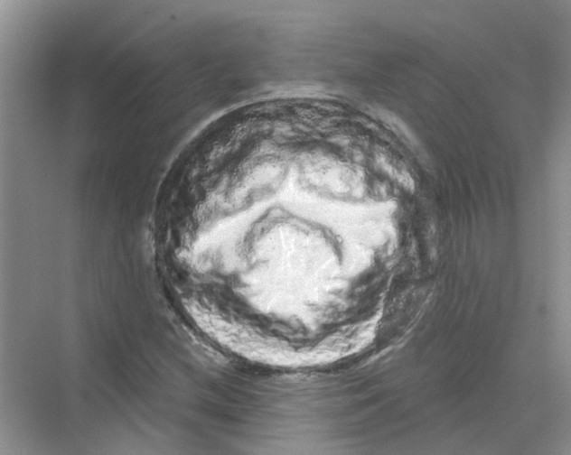 X0000069791212200606091734