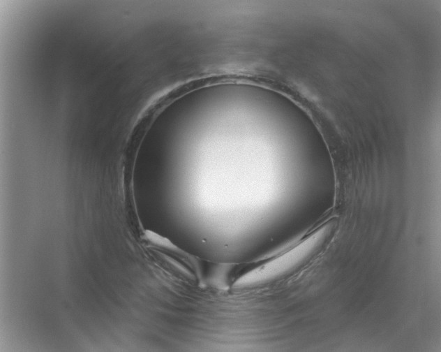 X0000069791214200606091734