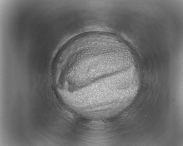 X0000069791215200606091734