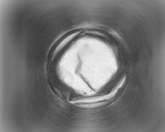 X0000069791216200606091734