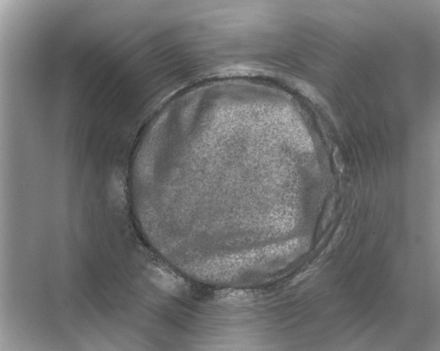 X0000069791217200606091734