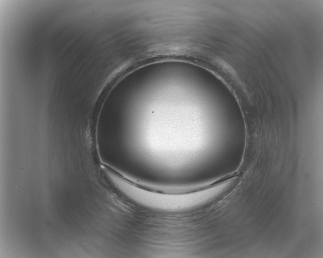 X0000069791218200606091734