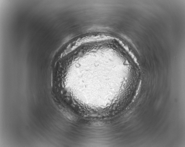 X0000069791219200606091734