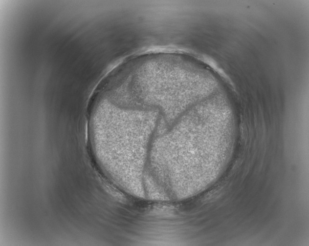 X0000069791221200606091734