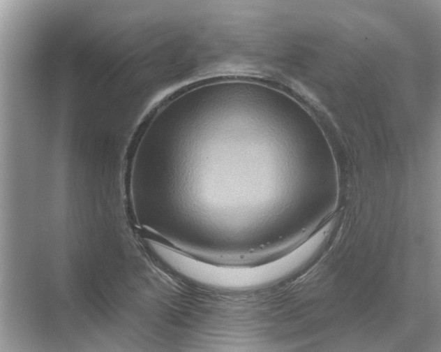 X0000069791222200606091734