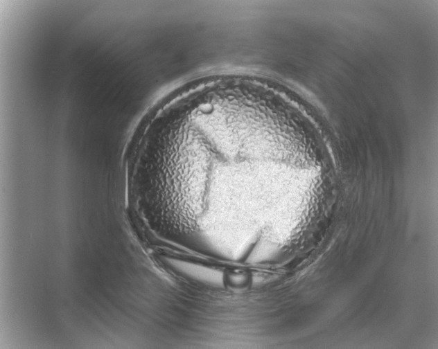 X0000069791223200606091734