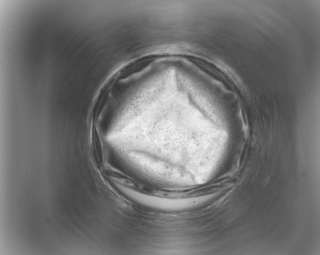 X0000069791224200606091734