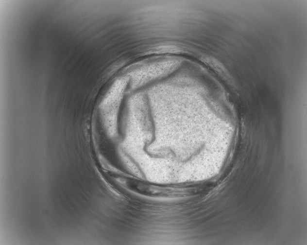 X0000069791225200606091734