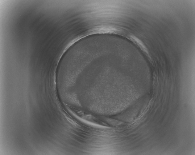 X0000069791226200606091734