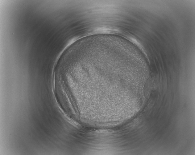 X0000069791227200606091734