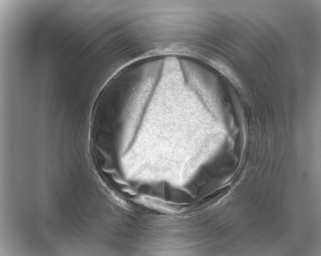 X0000069791228200606091734