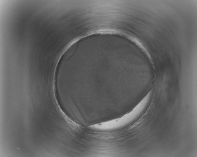 X0000069791229200606091734