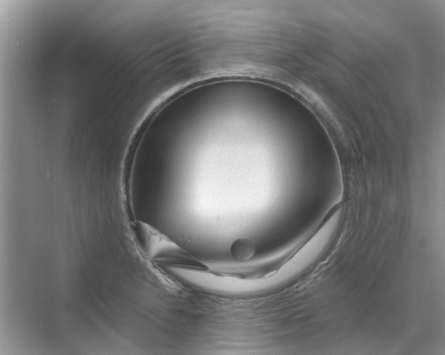 X0000069791230200606091734