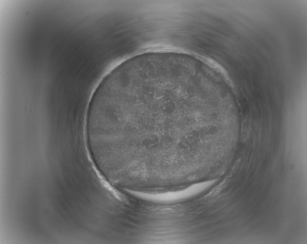 X0000069791231200606091734