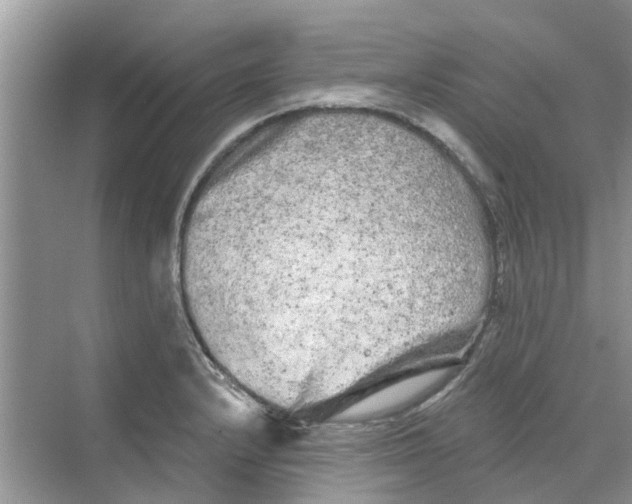 X0000069791232200606091734