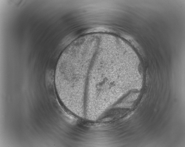 X0000069791233200606091734