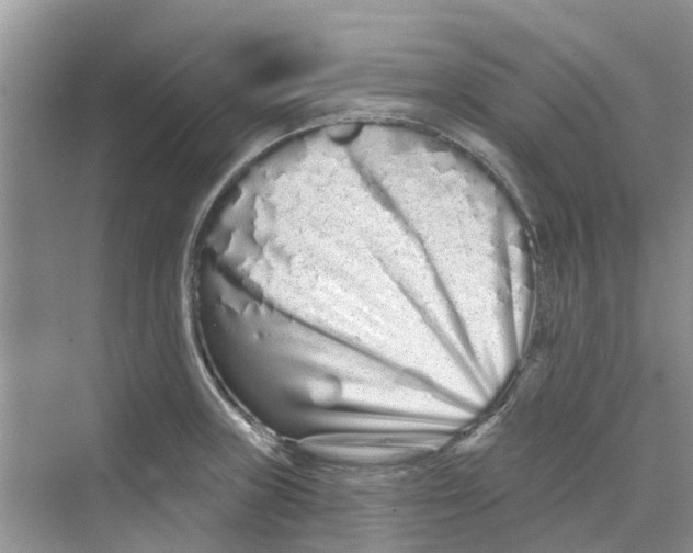 X0000069791235200606091734